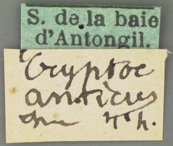 Media type: image; Entomology 20035   Aspect: labels 2